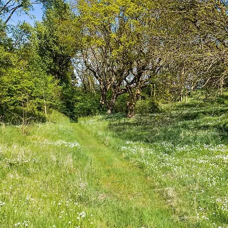 Apartment One-bedroom In *